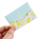 Cinnamoroll x Miki Takei Fresh Citrus Mini Letter Set