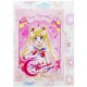 Set Postais Sailor Moon Eternal Usagi