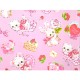 Amenomori Fumika Cherry Red File Folder