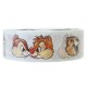 Washi Tape Chip & Dale Little Brothers