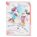 Mickey & Minnie Index File Folder
