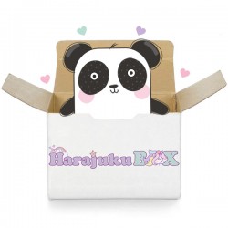 Kawaii Panda Harajuku Box