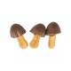 Choco Boy Mushroom Biscuits Chocolate