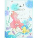 Ariel Ocean Beauty File Folder