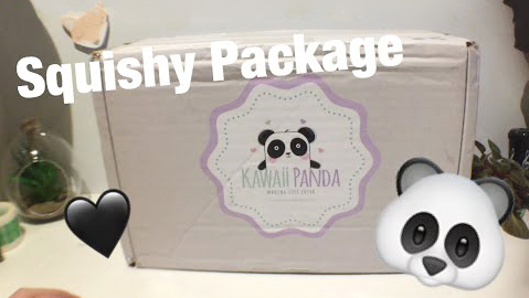 Kawaii Panda squishy package!